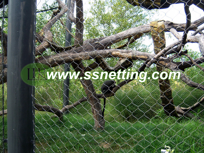 Venta de malla del zoológico para una pequeña cerca de la jaula de gatos en o al aire libre de China LiUlin Zoo Mess Factory & Proveedor
