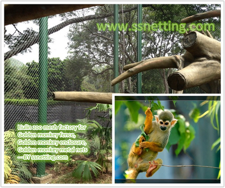 Golden monkey fence, Golden monkey enclosure, Golden monkey metal nets.jpg