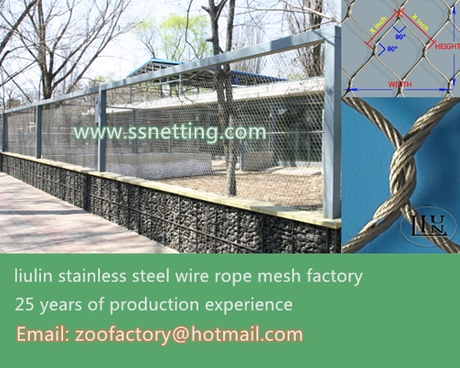 steel wire rope mesh.jpg