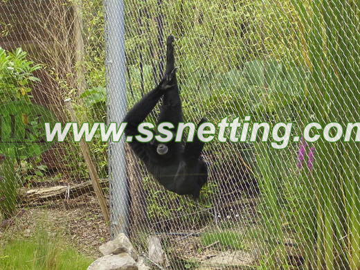 Gorila saltar la cerca de jaula