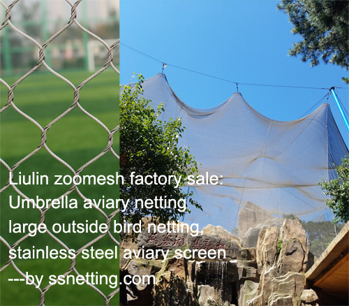 Netificación de la pajarera paraguas, gran red de aves exteriores, pantalla de avión de acero inoxidable