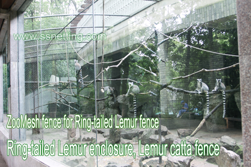 Cerca de malla del zoológico para la cerca de lémur de cola de anillo, cerramiento de lemur de cola de anillo, cerca de lemur catta
