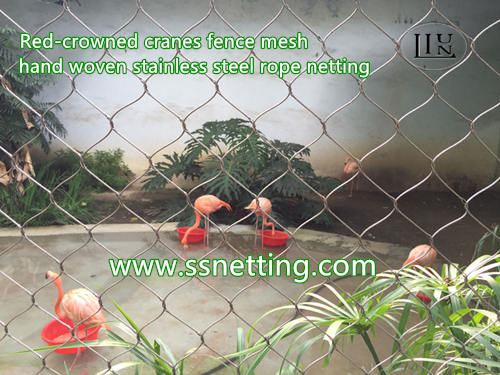 1.6mm, 51 mm x 51 mm, zoológico Productos de redes de flamenco salidas por LiUlin Zoo Mesh Factory en China