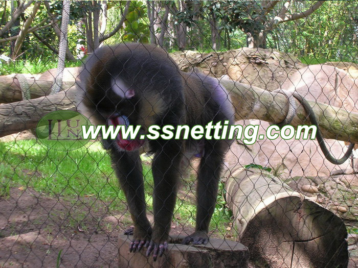 Elija una excelente cerca de barrera del zoológico en China Zoo Mesh Factory