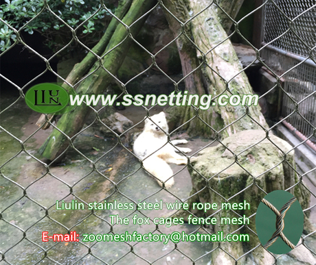 The fox cages fence mesh.jpg