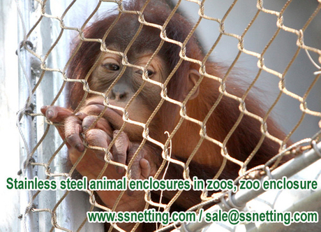 Stainless steel animal enclosures in zoos, zoo enclosure.jpg