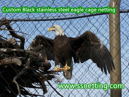 eagle cage netting.jpg