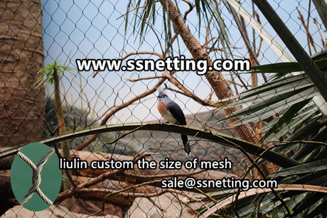 zoo bird aviary netting mesh.jpg