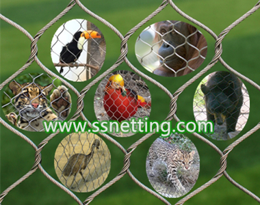 stainless steel aviary netting mesh.jpg