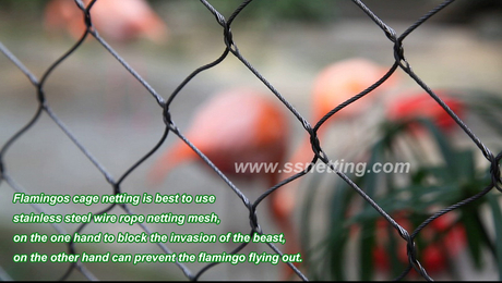 flamingo cage netting fence.jpg