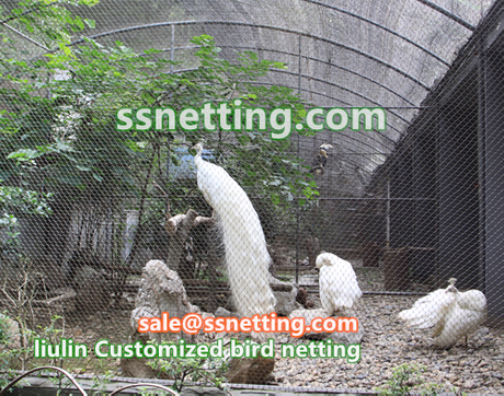 bird netting, bird enclosure netting, bird fence enclosure.jpg