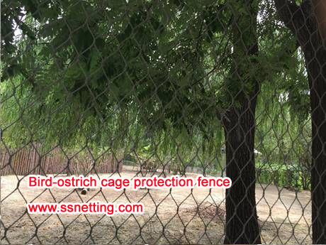 Cerca de protección de jaula de aves avestruz