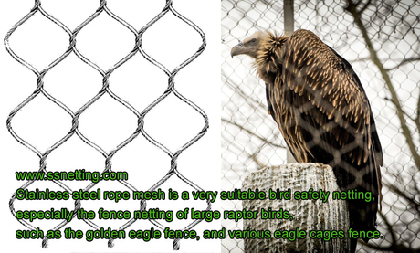 Fence netting of large raptor birds, Golden eagle fence.jpg