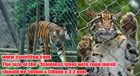 The size of the Stainless steel wire rope mesh should be 50mm x 50mm x 3.2 mm.jpg