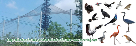 Large animal enclosures, outdoor animal enclosures.jpg