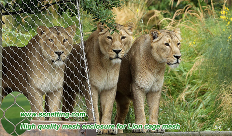 High quality mesh enclosure for Lion cage mesh.jpg