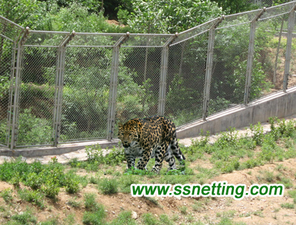 Tigre / León / Leopardo / Bestia Animal Cause Protection Cerca