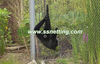 Netificación de la valla de gorila